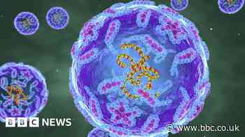 Polio: New York reports first US case in nearly a decade