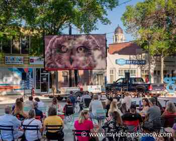 Amazing Race boosts tourism in Lethbridge - My Lethbridge Now