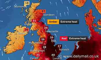 World Meteorological Organisation has 'no plans' to name heatwaves in same way as storms