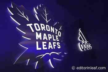 Toronto Maple Leafs: A Closer Look at Development Camp - Editor in Leaf