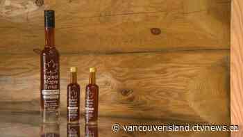 Hupačasath First Nation making syrup from bigleaf maple trees | CTV News - CTV News VI