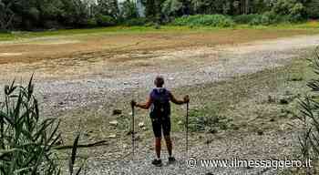 Foligno, l'oasi di Colfiorito è a secco: moria di pesci - ilmessaggero.it