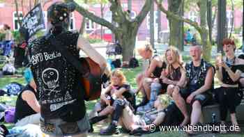 Sylt weckt Punks in Westerland früher: "Die terrorisieren uns richtig!" - Hamburger Abendblatt