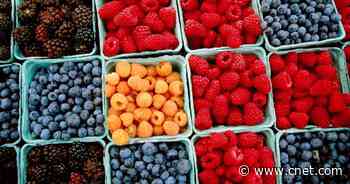 Keep Fruits and Vegetables Fresh Longer: Tips That Actually Work, According to Experts     - CNET