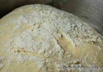 Dal pane ai mobili: undici nuovi negozi e artigiani storici a Gallarate e dintorni - varesenews.it