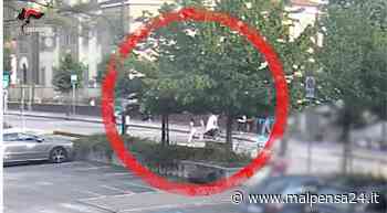 La lite in discoteca a Gallarate. Poi il pestaggio punitivo a Somma: tre arresti - MALPENSA24 - malpensa24.it