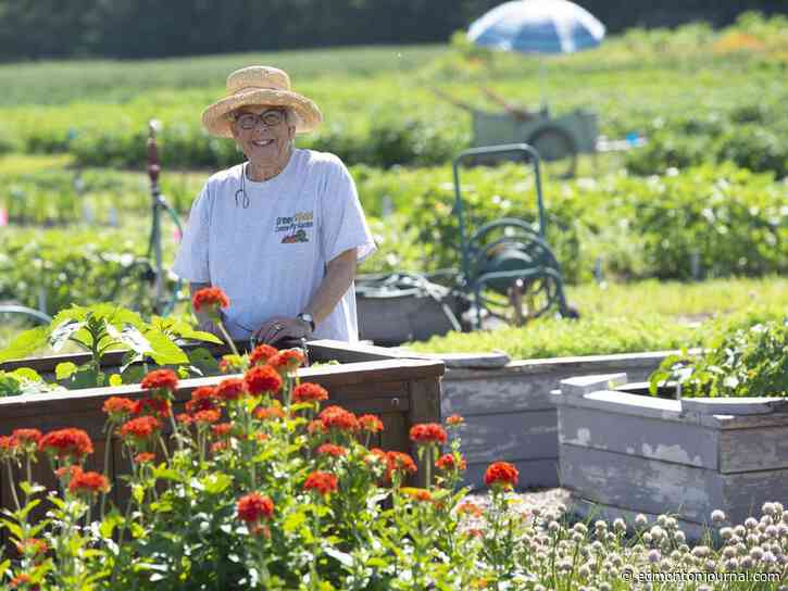 Growing Things: Green and Gold garden