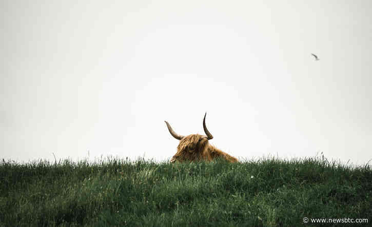 Why Hidden Bitcoin Bulls Could Be Ready To Charge