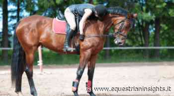 Abusi sessuali in una scuderia di Pioltello: ai domiciliari il Presidente - Equestrian Insights