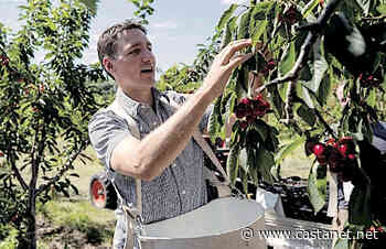 Why was Trudeau here? - Dan in Ottawa - Castanet.net