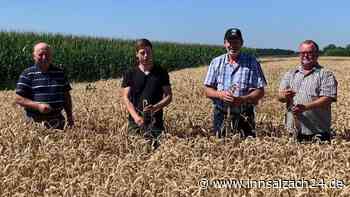 „Der Mais steht wie eine Eins“ – Klimawandel als Chance für die Landwirtschaft in der Region?