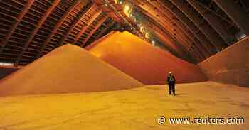 Nutrien buys Casa do Adubo to expand retail presence in Brazil - Reuters