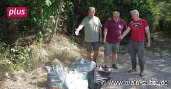 Bischofsheim: Ein Anziehungspunkt für Umweltsünder - Main-Spitze