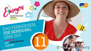 ▷ Gartenschaufenster: Folge 11 - Eppingen.org