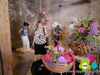 ▷ Mit den Sinnen erleben - Eppingen.org