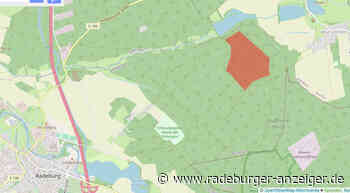 Infos zum Brand in der Radeburger Heide - Radeburger Anzeiger