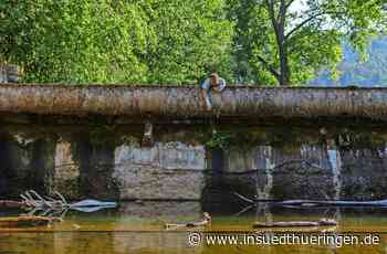 Wehr in Wernshausen - Wo die Werra zum Rinnsal wird - inSüdthüringen