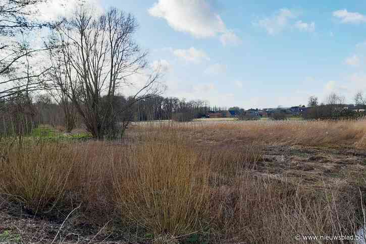 Hier mogen land- en tuinbouwers gratis water opvangen: herinrichting overstromingsgebied Moerasstraat voorziet ook in spaarfunctie