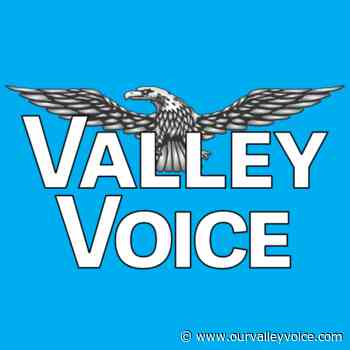 Camp Nelson Mountain Festival returns - Valley Voice