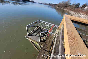 Port Haney Wharf getting an update - Maple Ridge News