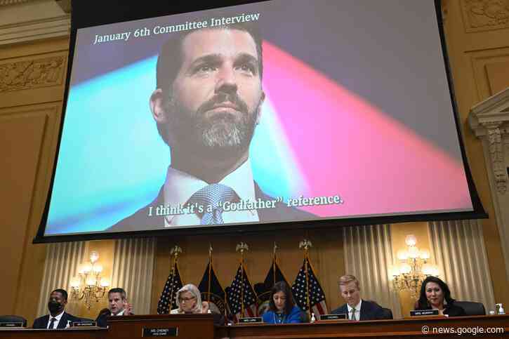 Donald Trump Jr mocked after trying to explain Godfather reference at Jan 6 hearing - The Independent