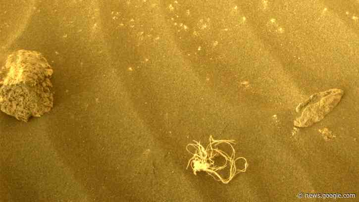 NASA Mars rover discovers weird string-like object that goes viral - Fox News