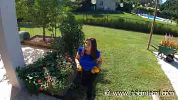 Healing Through Food: Can Diet and Lifestyle Heal Chronic Disease?