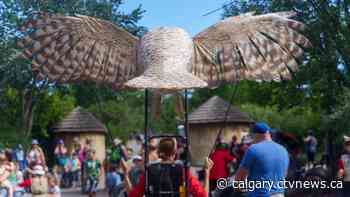 Calgary Zoo puppet parades raise awareness for endangered species | CTV News - CTV News Calgary