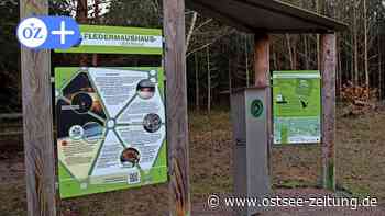 Entdeckerpfad in der Rostocker Heide bietet Abenteuer für Groß und Klein - Ostsee Zeitung