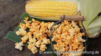 Popcornmais selbst anbauen: Kinoflair aus dem Garten