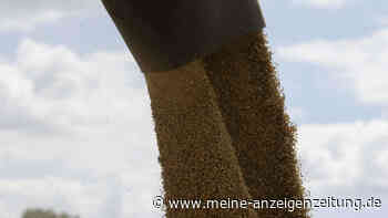 Russland und Ukraine unterzeichnen Getreideabkommen