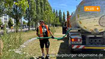 Hoher Wasserverbrauch, durstige Pflanzen: So ist die Lage in Augsburg