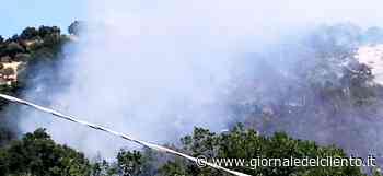 Incendio ad Agropoli, vigili del fuoco in azione per domare le fiamme - Giornale del Cilento