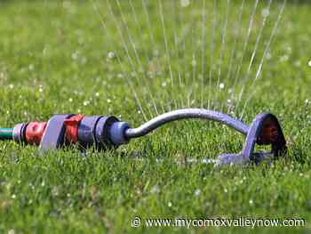 Spring showers avert tighter water restrictions - My Comox Valley Now