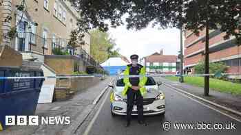 Brentwood: Man cleared of murdering two teenagers