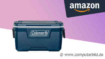 Amazon: Große Camping-Kühlbox von Coleman für 135 Euro kaufen