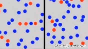 You have a high IQ if you can solve tricky optical illusion ‘photographic memory’ test – so what word do yo... - The US Sun