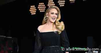 Adele Did Megan Thee Stallion's TikTok Dance At Her Hyde Park Concert - Elite Daily