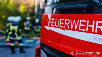 Mannheim: Zwei Katzen nach Wohnungsbrand tot geborgen - STERN.de
