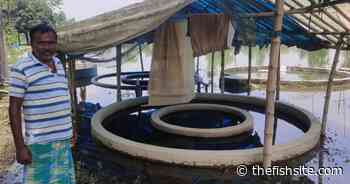Can Assam's carp farmers recover from the recent floods? - The Fish Site