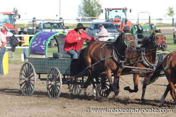 Chuckwagon racing runs in the family for Saskatchewan’s Kelvin Young - Red Deer Advocate