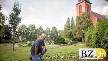 Corona-Ausbrüche in Heimen: 28.000 Tote – nur eine Anklage?