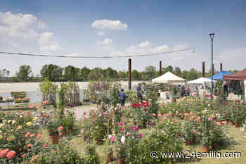 Georgica nello scenario di Lido Po di Guastalla - 24Emilia
