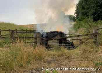 'Out of control' arsonists blamed for fire on farm in heatwave