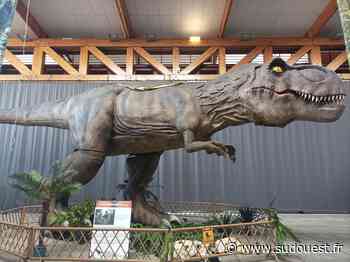 Villeneuve-sur-Lot : « Dinosauria » s’implante pour la première fois - Sud Ouest