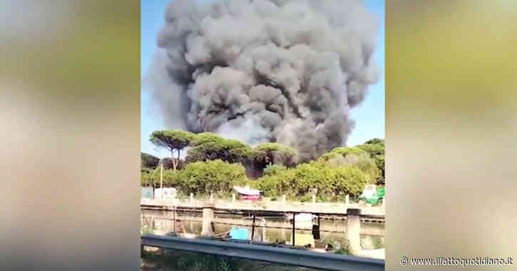 Roma, incendio nella pineta di Castel Fusano: fiamme vicino a un campeggio – Video