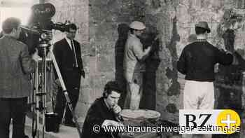 Schwamm, Pilz und Co. im Wolfsburger Schloss