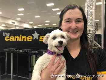 Four-legged “rescues to rock stars” entertain at Red Deer's Westerner Days - Red Deer Advocate