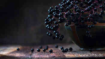 5 Gründe, mehr Holunderbeeren zu essen - Vital