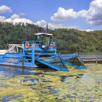 Entwarnung in Essen: Noch ist der Wassersport auf dem Baldeneysee nicht in Gefahr - Radio Essen